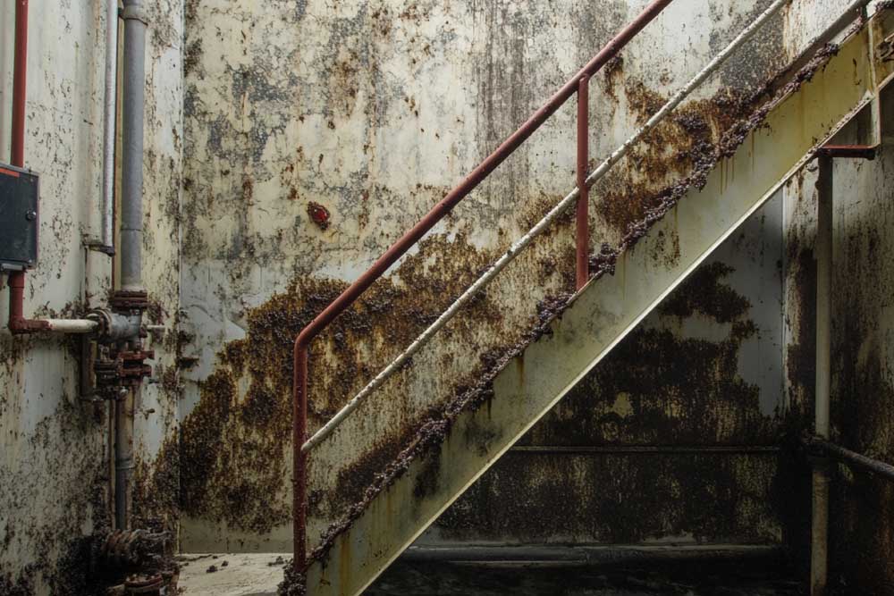 flash rust flash rust