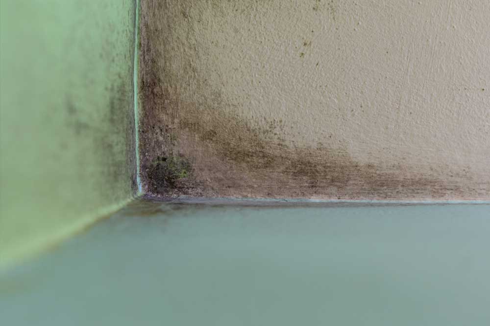 humedad sótano humedad sótano